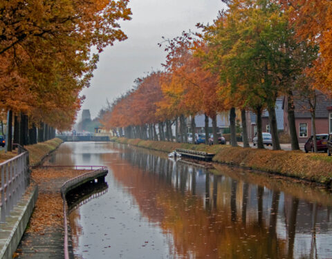 Kanaal met rood, oranje herfstbomen langs de oever, gebouwen en geparkeerde auto's op de achtergrond.