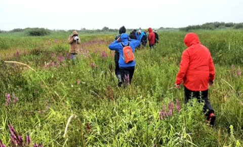 Groep mensen in regenjassen loopt door een bloemenveld, omgeven door hoog gras en planten.