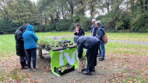 Groep mensen bekijkt jonge planten op een tafel buiten, omringd door herfstbomen.