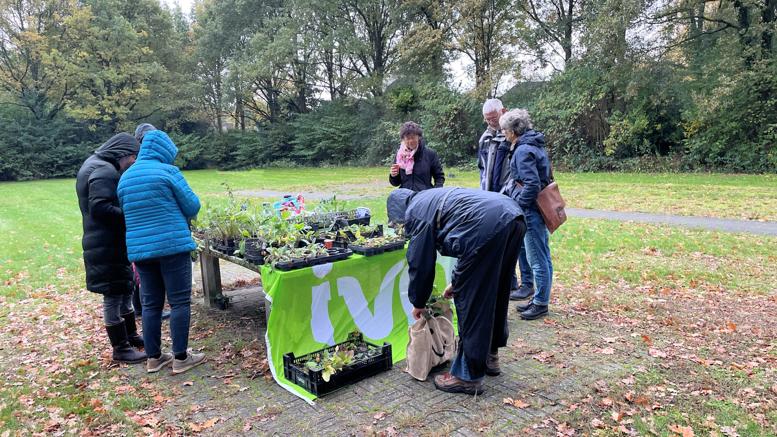 Groep mensen bekijkt jonge planten op een tafel buiten, omringd door herfstbomen.