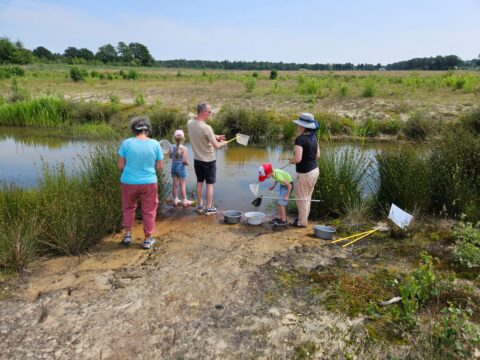 Groep mensen onderzoekt waterleven aan de rand van een vijver in een natuurgebied.
