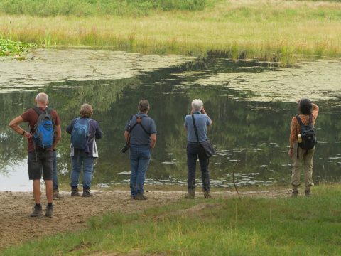 Basiscursus ‘Het herkennen van vogels’ kent enkele data-wijzigingen