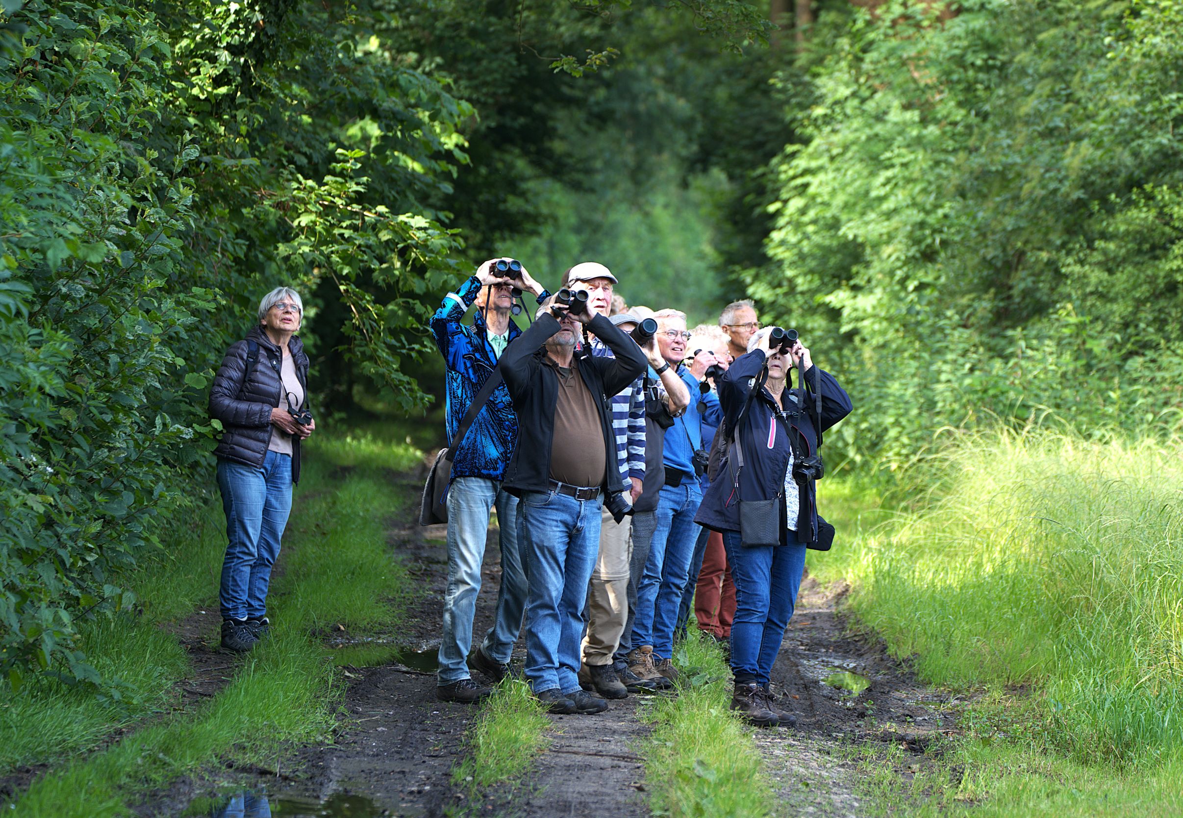 Een groep mensen observeert vogels in een bosrijke omgeving met verrekijkers.