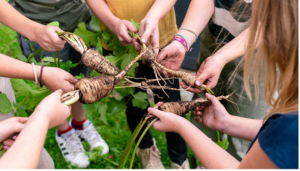Kinderen houden vers geoogste pastinaken vast, samen in een kring op een grasveld.