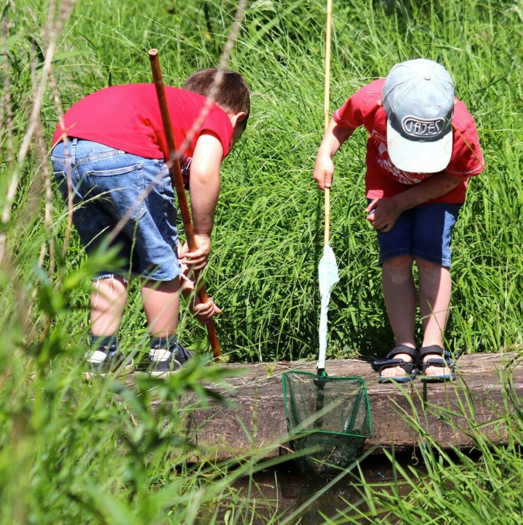Twee kinderen in rood t-shirts en shorts vangen insecten bij een beekje met schepnetjes, omgeven door gras.