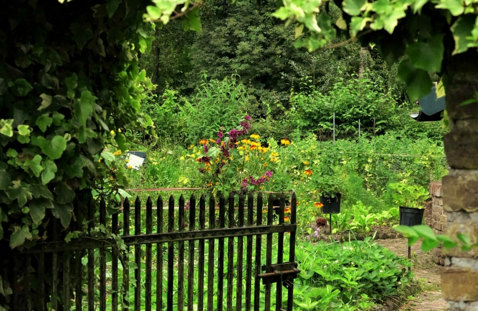 Een houten poort leidt naar een weelderige tuin met kleurrijke bloemen en dichte groene planten.