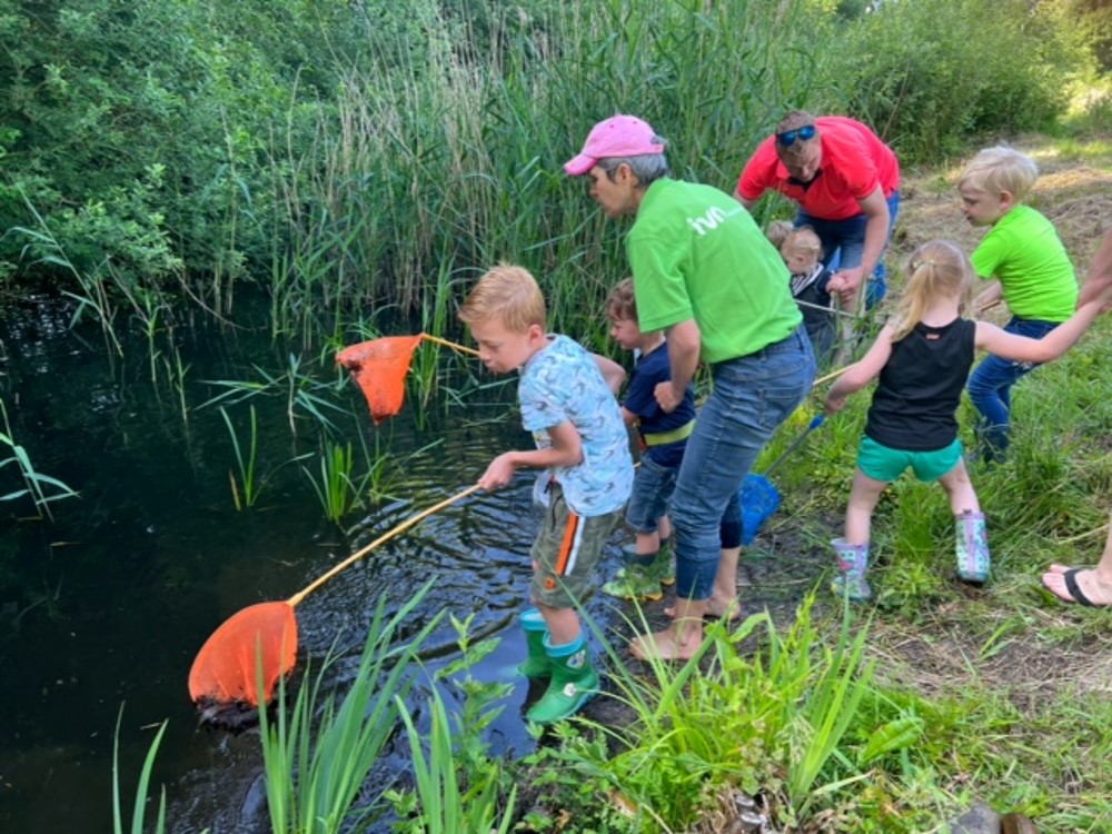 Kinderen vangen dieren in een vijver met schepnetten, begeleid door volwassenen, omringd door groen.