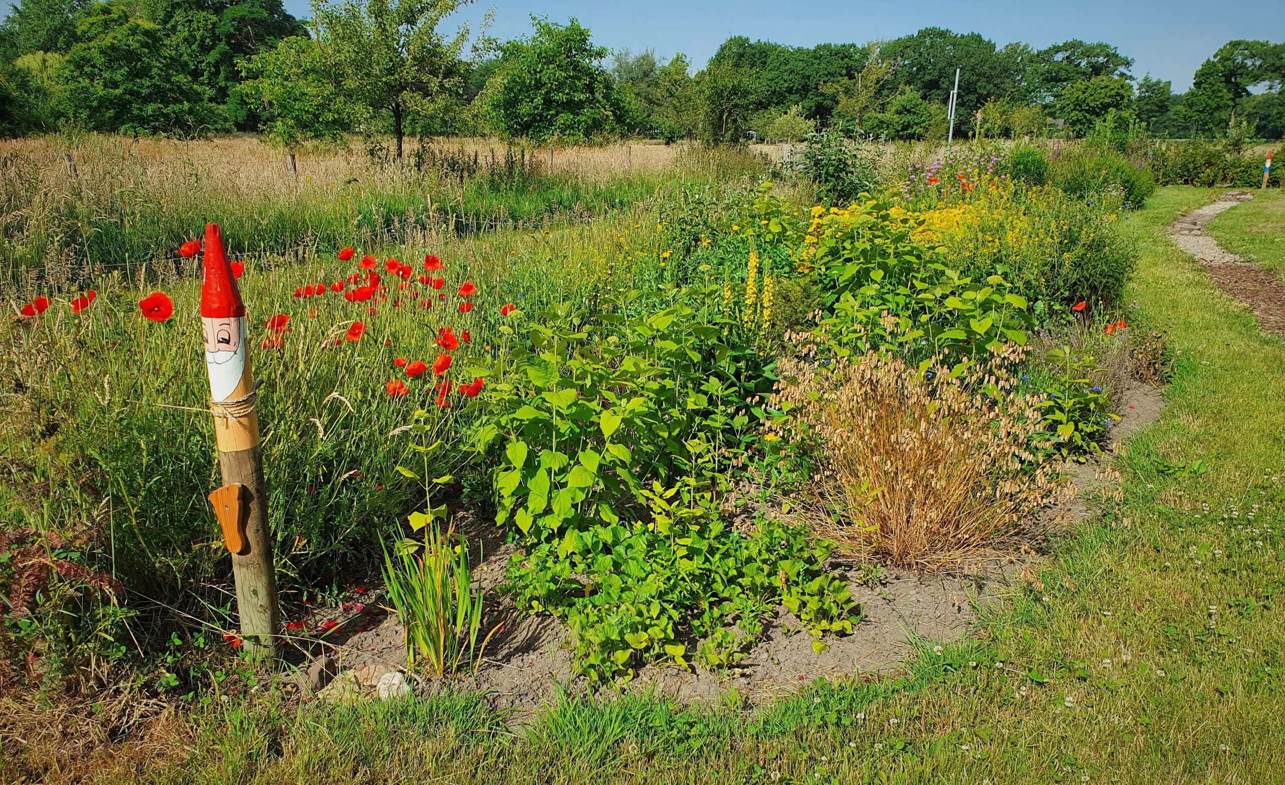 Tuin met wilde bloemen, een paal met kaboutergezicht, groen gras en bomen op de achtergrond.