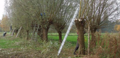 Werkgroep Landschapsonderhoud