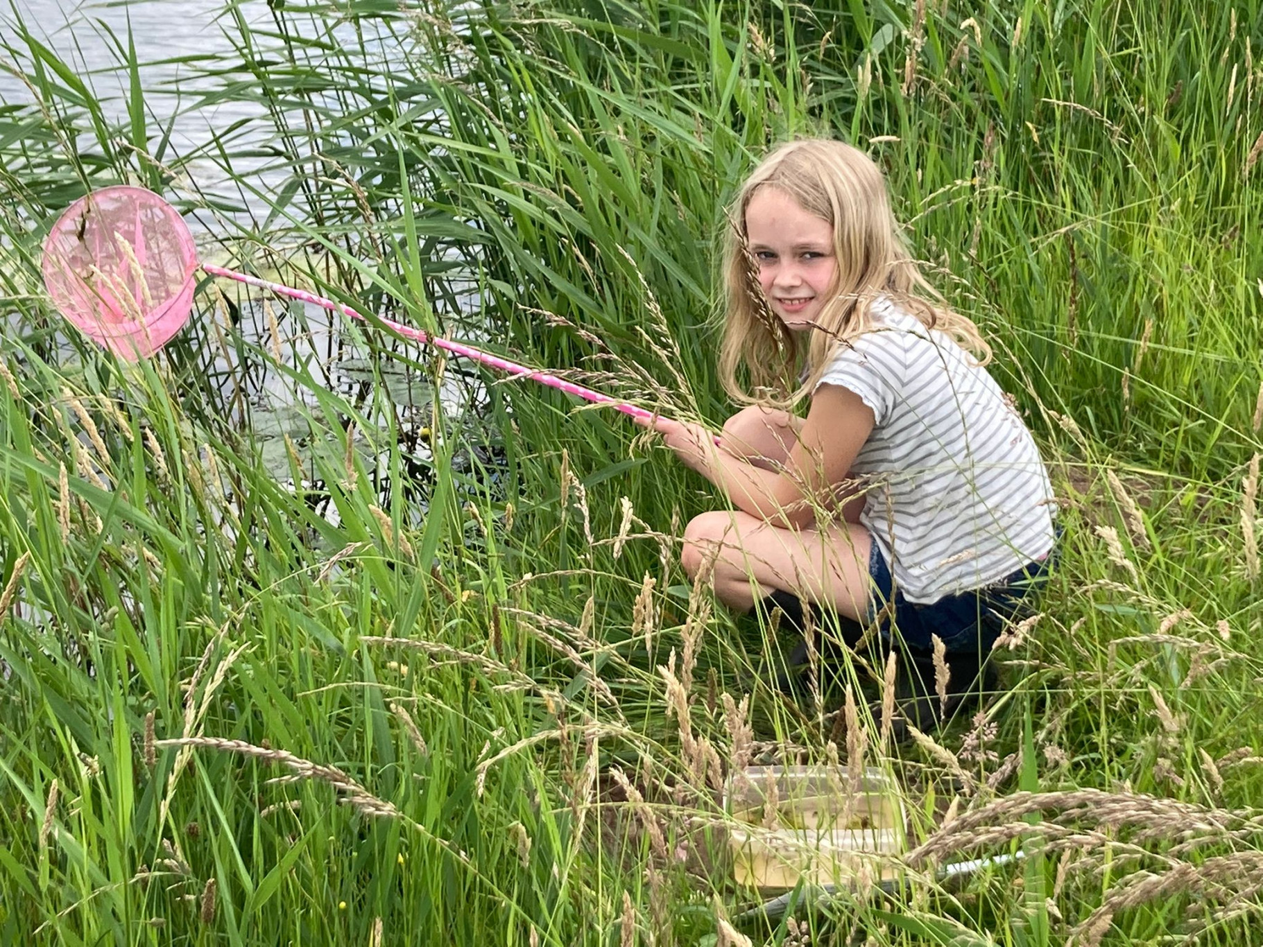 Waterbeestjes op de Boerhaar