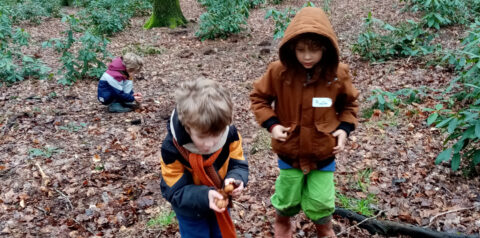 de eekhoorn activiteit