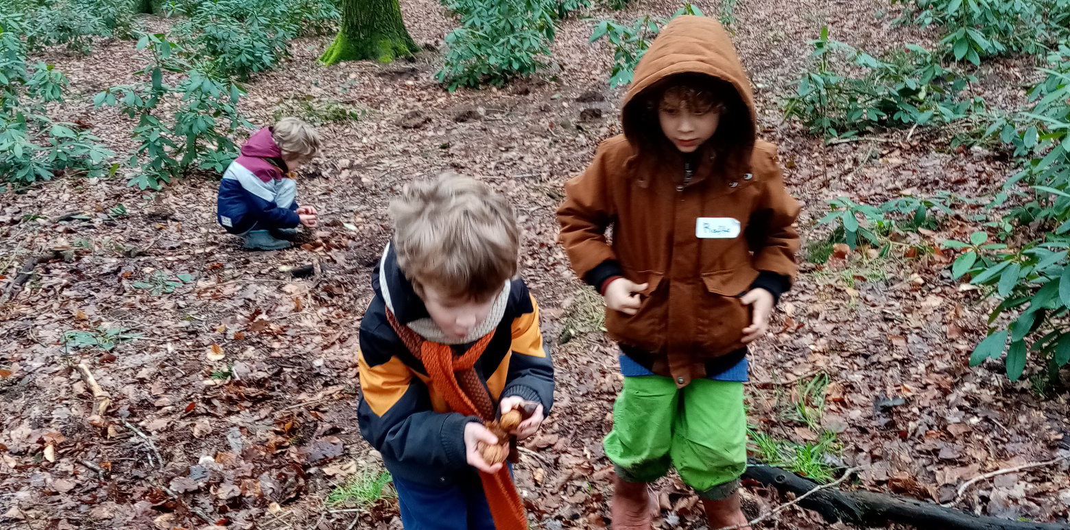 de eekhoorn activiteit