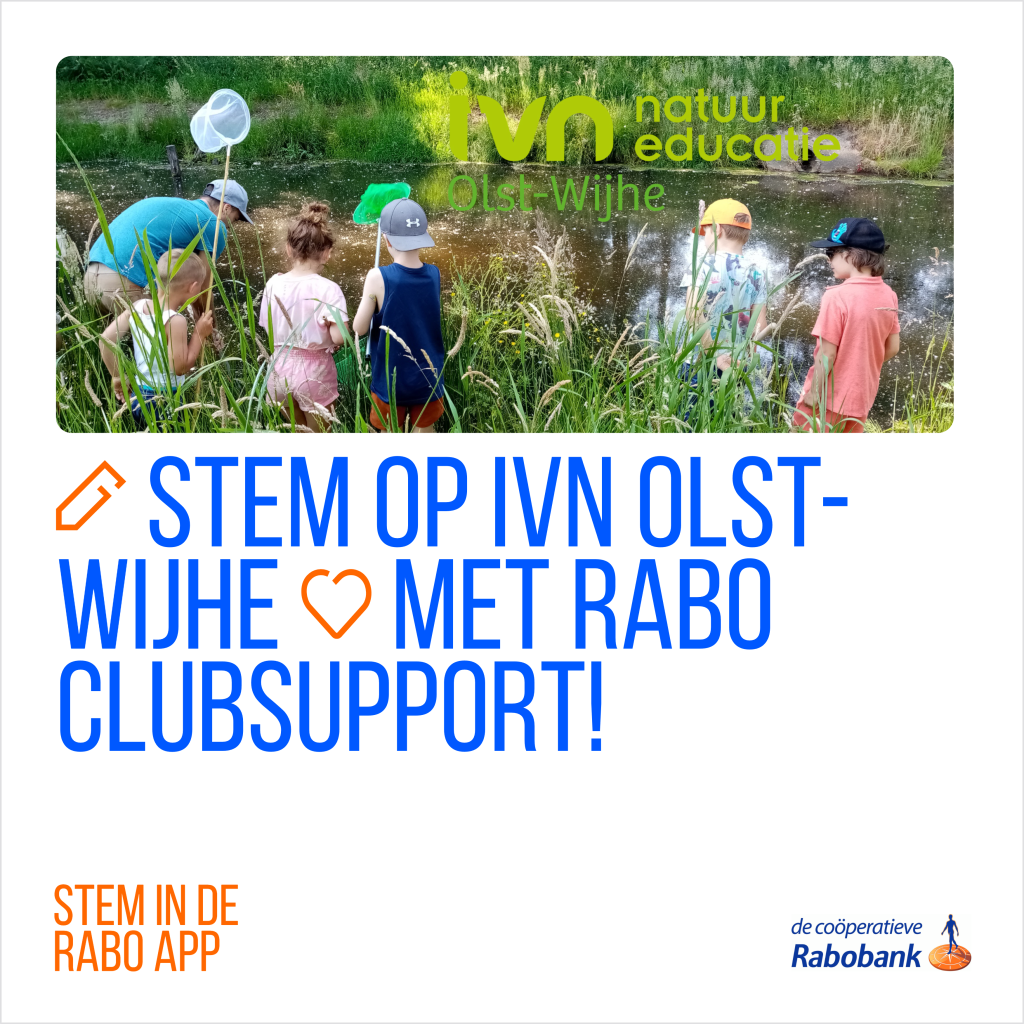 Rabo clubsupport