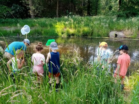 Kinderen vangen insecten met netten bij een vijver in een groene, bosrijke omgeving.