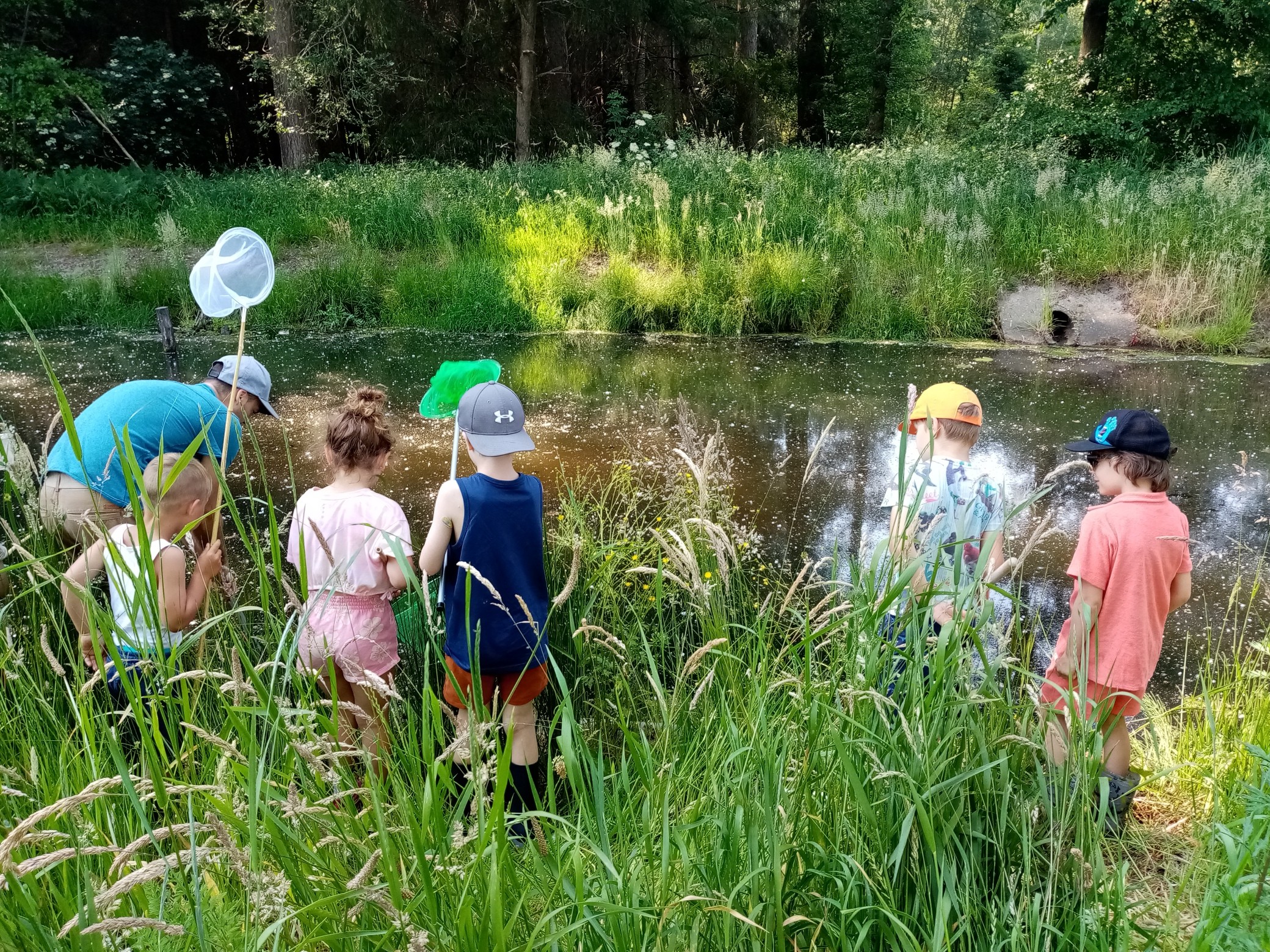 Kinderen vangen insecten met netten bij een vijver in een groene, bosrijke omgeving.