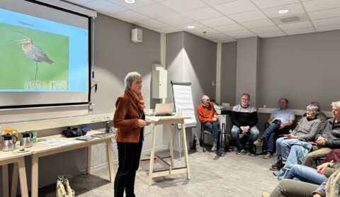 Persoon geeft presentatie over vogels aan een zittend publiek in een lesruimte.
