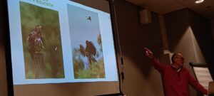 Presentatie over adelaars met foto's van vogels; spreker wijst naar scherm.