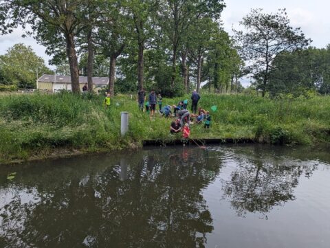 Groep kinderen vangt vissen met netten aan de rand van een vijver, omringd door bomen en gras.