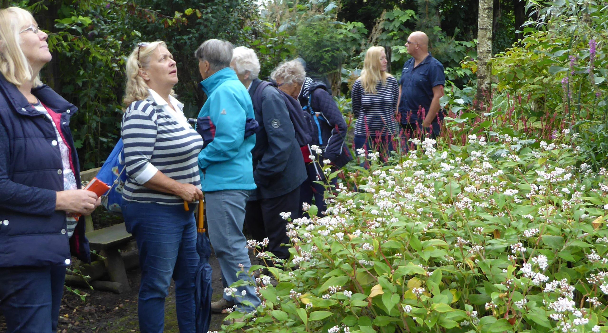 Bezoek aan de Oevertuin – een geweldige tuin!