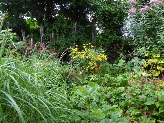 doorkijkjes in de Oevertuin
