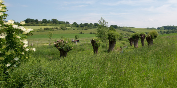 Kroegjestocht, landschap 