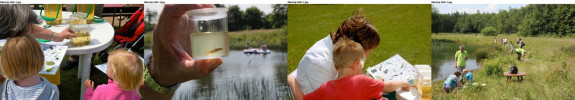 Filmstrip SWG 