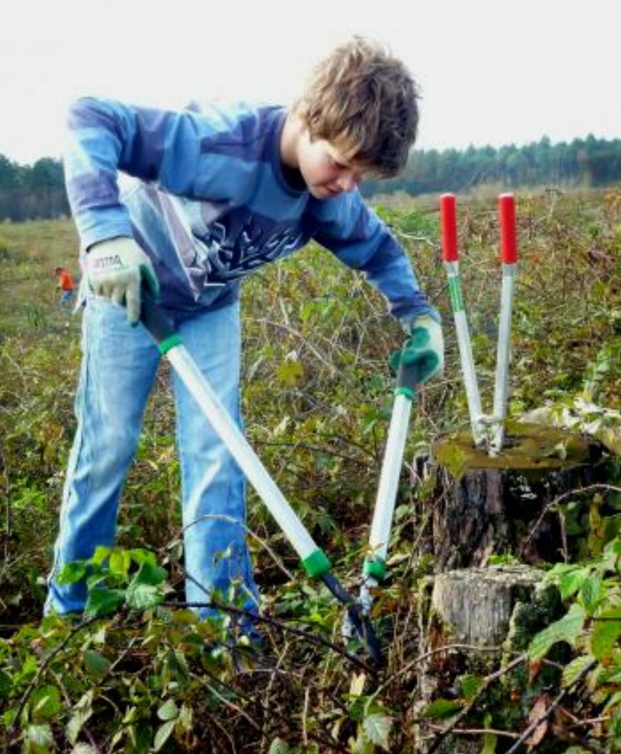 Natuurwerkdag 2014 succesvol