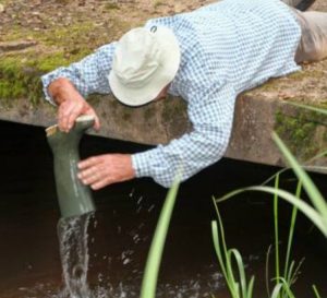 Avondvierdaagse: Castenrayse vennen