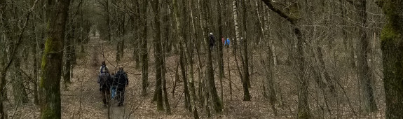 Vogelwandeling