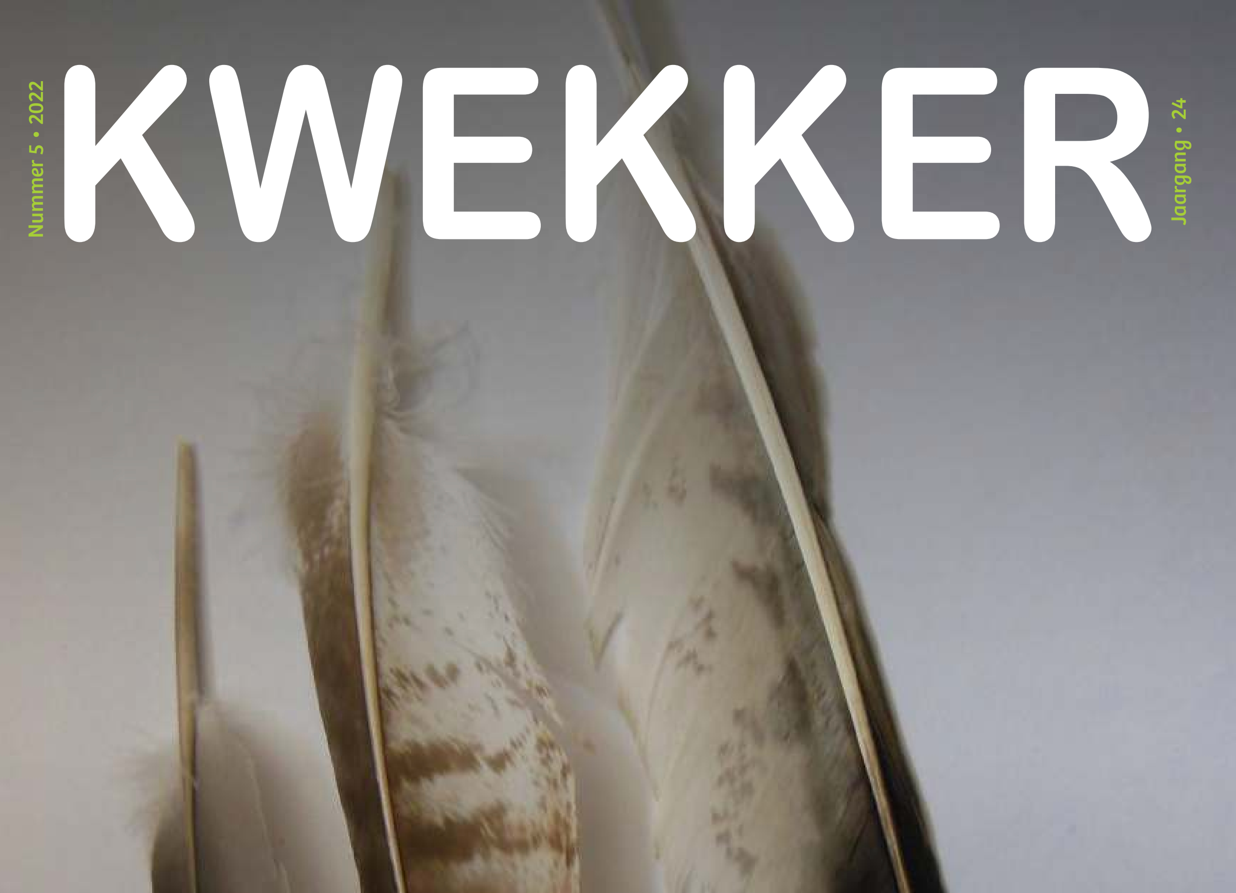 December Kwekker