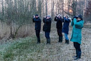 BMP Watervogeltelling