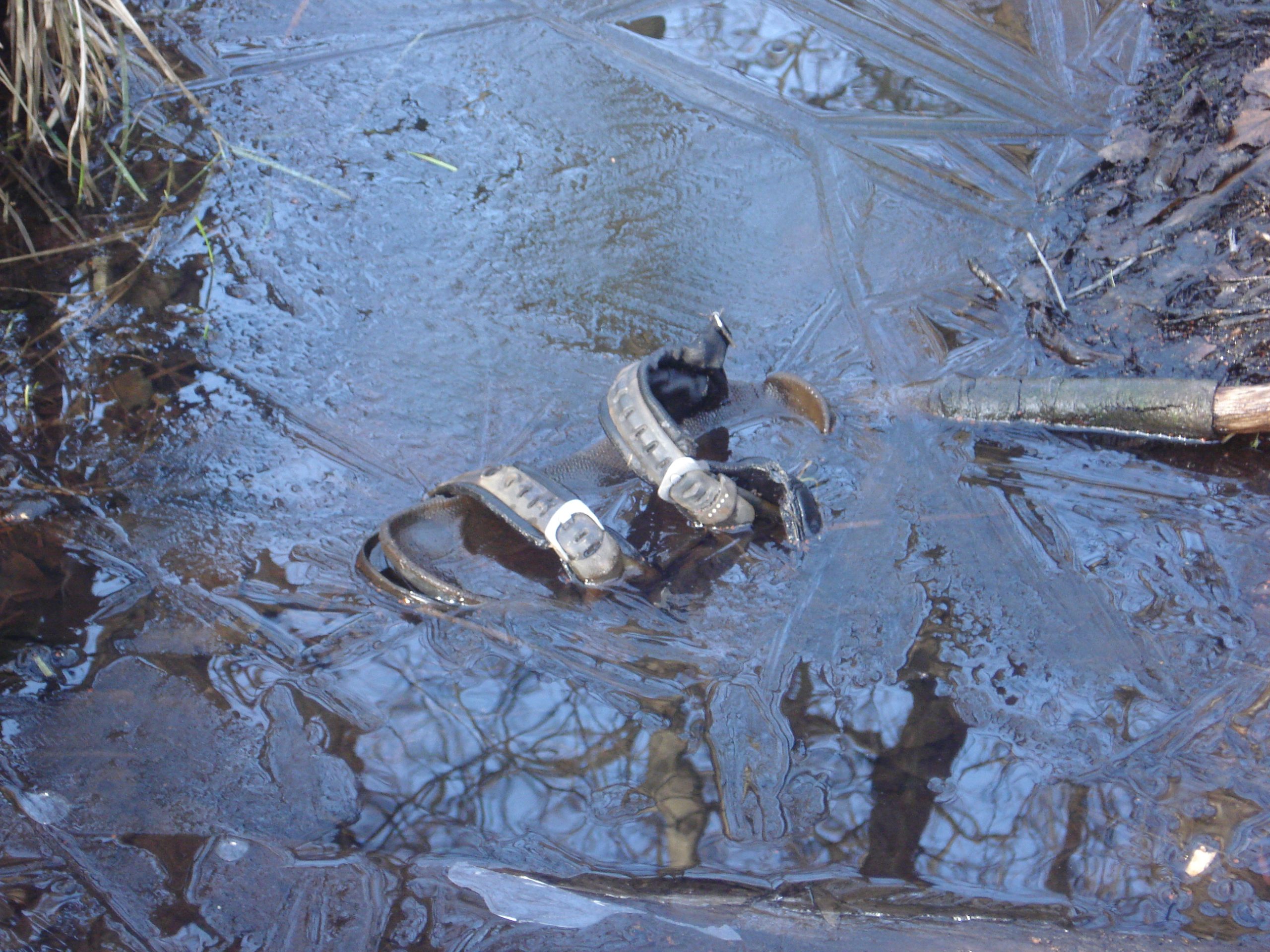 Sandaal half bevroren in ijskoude modder naast grasrand.
