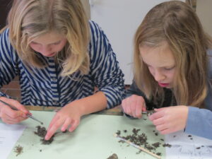 Braakballen uitpluizen