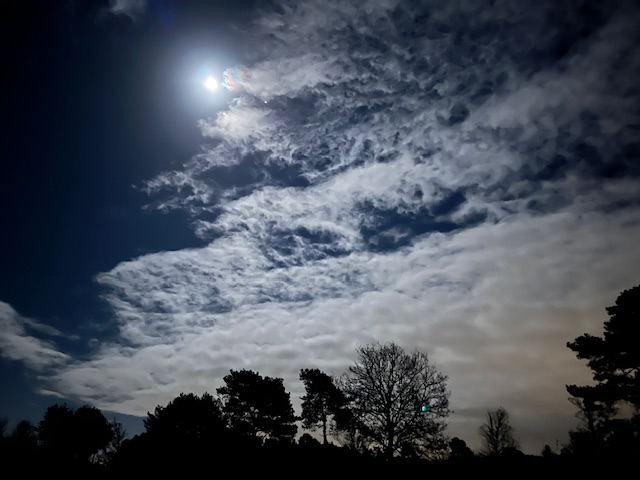 Maan achter wolken met silhouetten van bomen eronder.