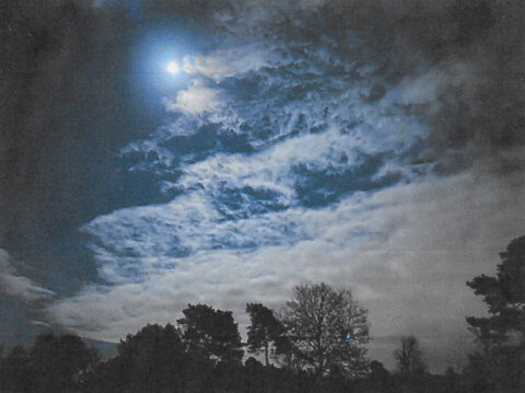 Vollemaan