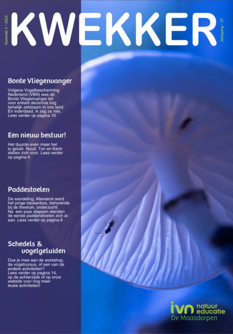 Blauw getinte close-up van een paddenstoel met teksten over natuureducatie en activiteiten.