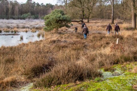 Groep wandelt langs vijver in droog, bosrijk gebied met bomen en struiken.
