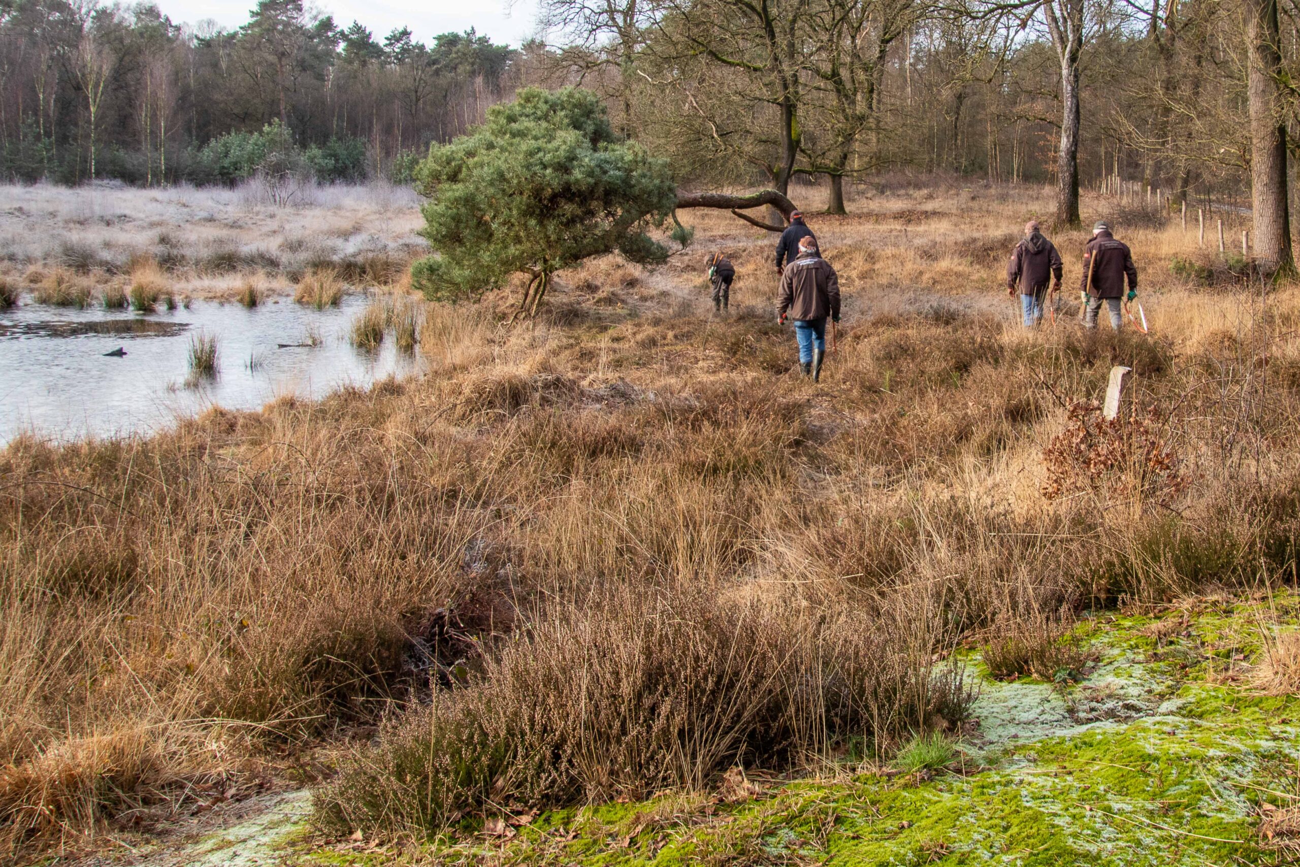 Groep wandelt langs vijver in droog, bosrijk gebied met bomen en struiken.