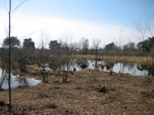 Het I.V.N. ven "De Maasdorpen"