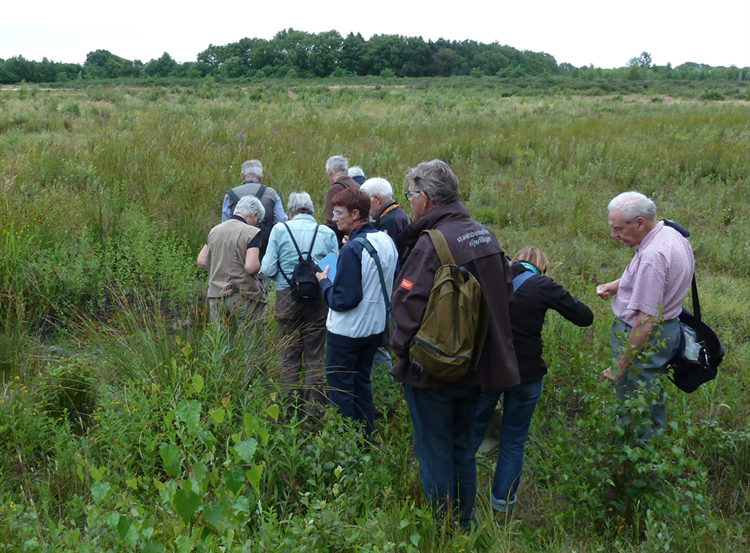 Een groep mensen verkent een groen, open veld met dichte begroeiing.