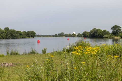 Rivierlandschap met rode boeien en groene oever vol gele bloemen.