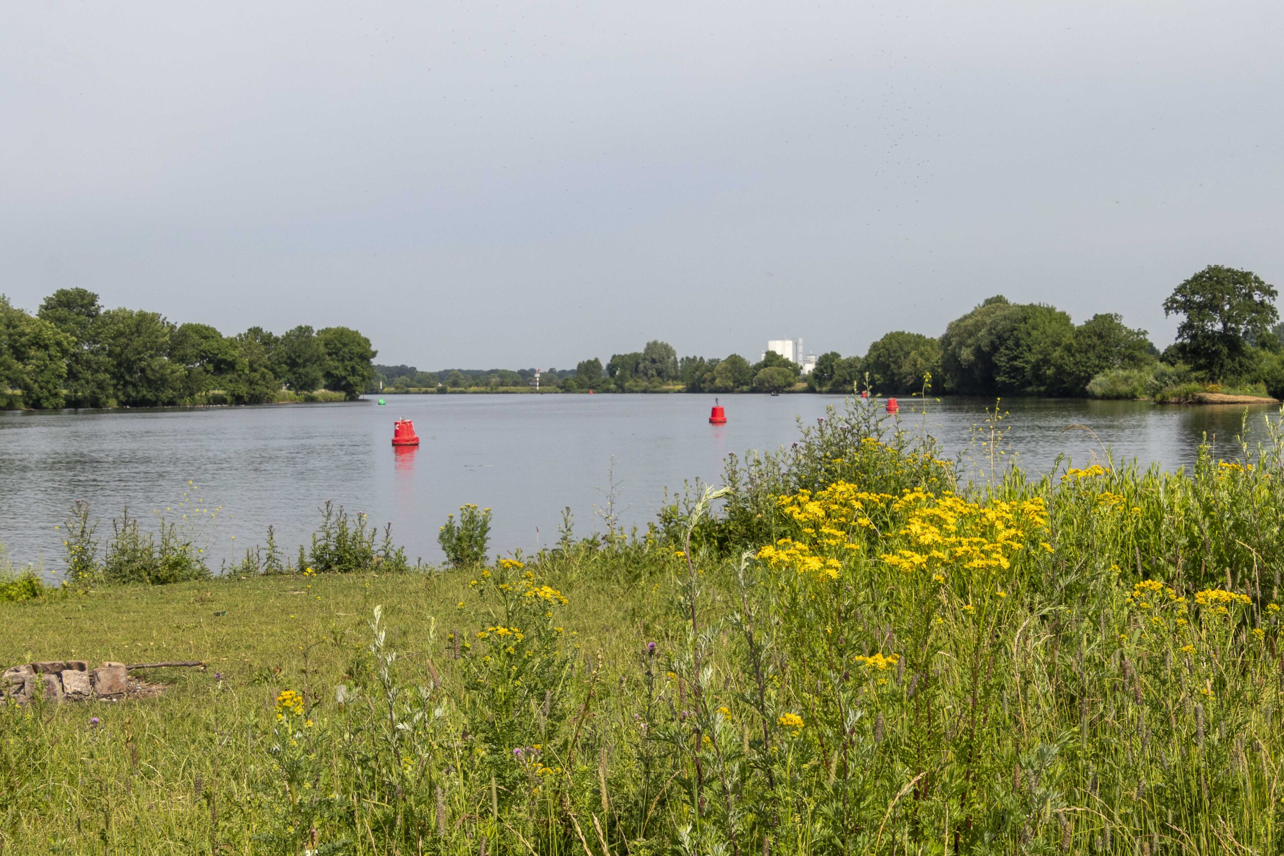 Rivierlandschap met rode boeien en groene oever vol gele bloemen.