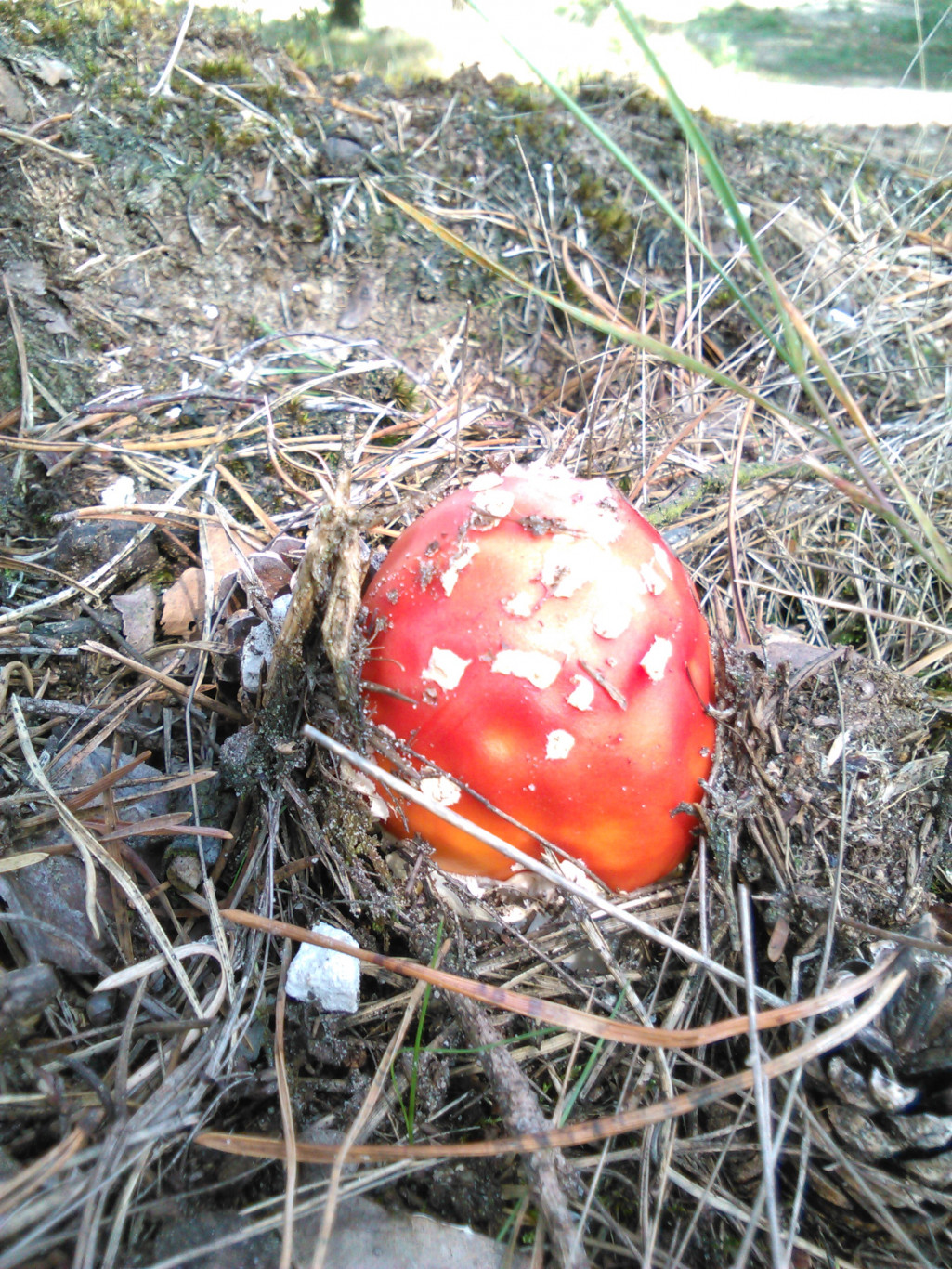 Herfstwandelen langs De Vilt bij Beugen