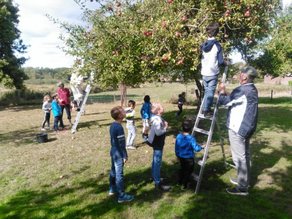 Jeugd boomgaard Holthees