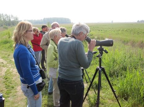 Vrijwilligers gezocht voor tellen dieren en planten in De Maasheggen