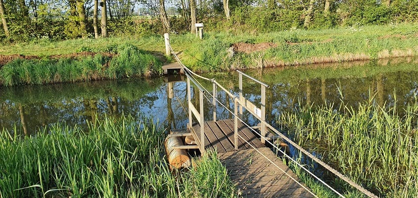 Smalle houten brug over rustig water met gras en bomen op de achtergrond.