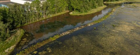 Luchtfoto van een moeras met bomen en een gebouw op de achtergrond.