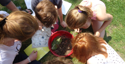 Kinderen onderzoeken een rode emmer met aarde en bladeren op gras, samen met een identificatiegids.