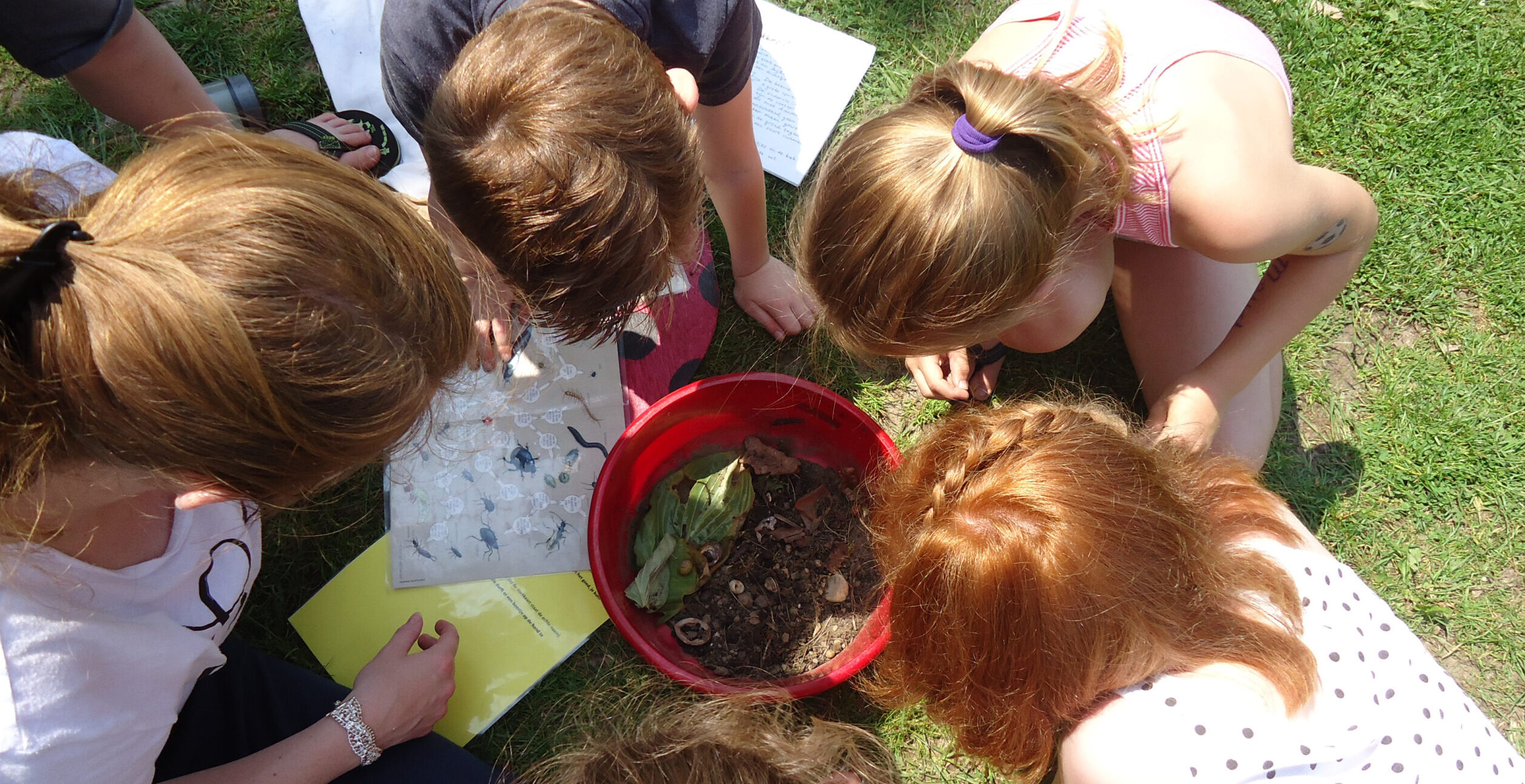 Kinderen onderzoeken een rode emmer met aarde en bladeren op gras, samen met een identificatiegids.