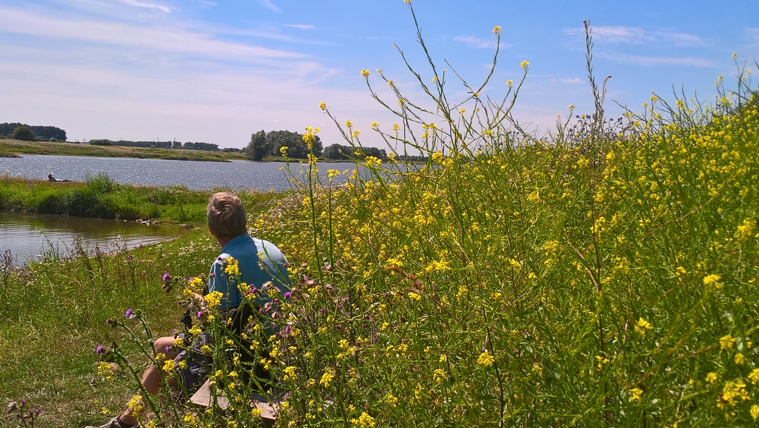 Man zit op bankje aan rivier, omringd door gele bloemen en groene velden onder blauwe hemel.